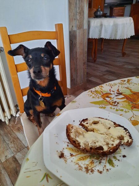 IMG-20210614-WA0001fd.jpg