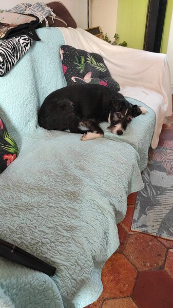 IMG-20210615-WA0004.jpeg