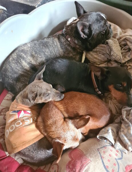 Simon freddy Suzette et Florette 28 07 21.jpg