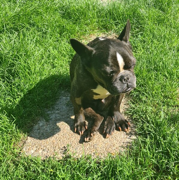 simon 25 08 21 3.jpg