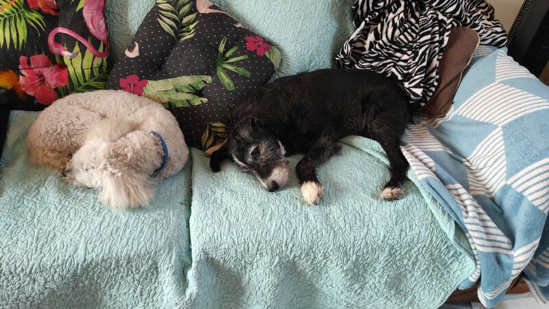 IMG-20210801-WA0002.jpeg