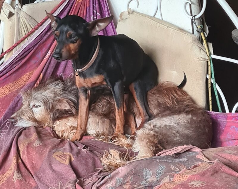 octavia et freddy 20 10 21 2.jpg
