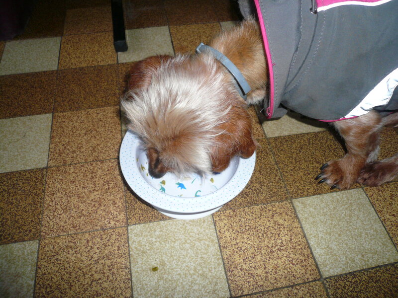 1080860071_Irma-premirejourne009.thumb.JPG.aff1e6611eb75f9772ffb6bb4574cae4.JPG