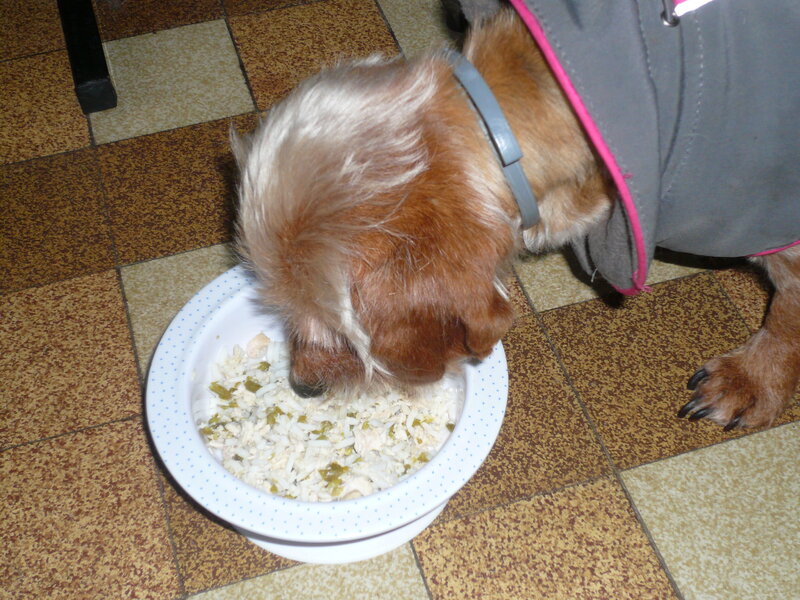2102783071_Irma-premirejourne008.thumb.JPG.5cf796d21108174810ac955fba1e377d.JPG