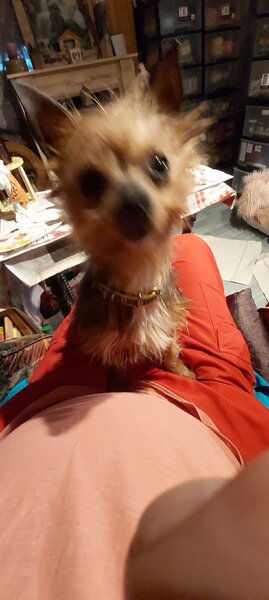 20220118_172055.jpg