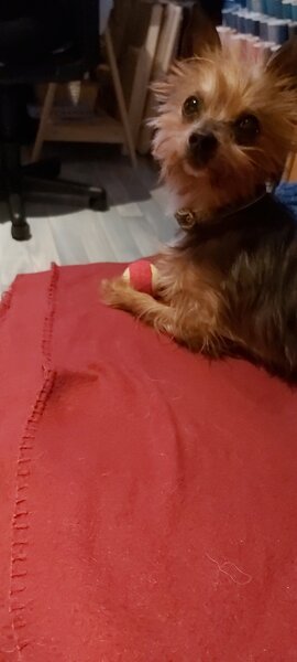 20220124_171120.jpg
