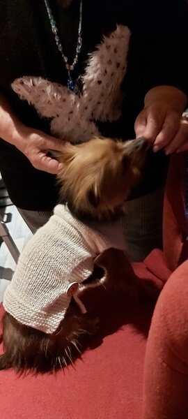 20220124_181033.jpg