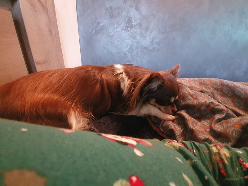272803067_968226694100816_7881712831451419609_n.jpg