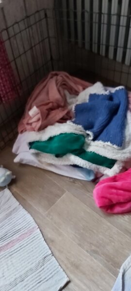 noeline couette.jpg