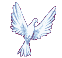 7.gif.5438ee5d5752b9820c6379c656588ef3.gif