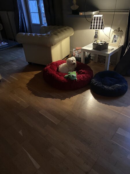 BDBFE0A7-4C08-413E-AF69-A01302CCF187.jpeg