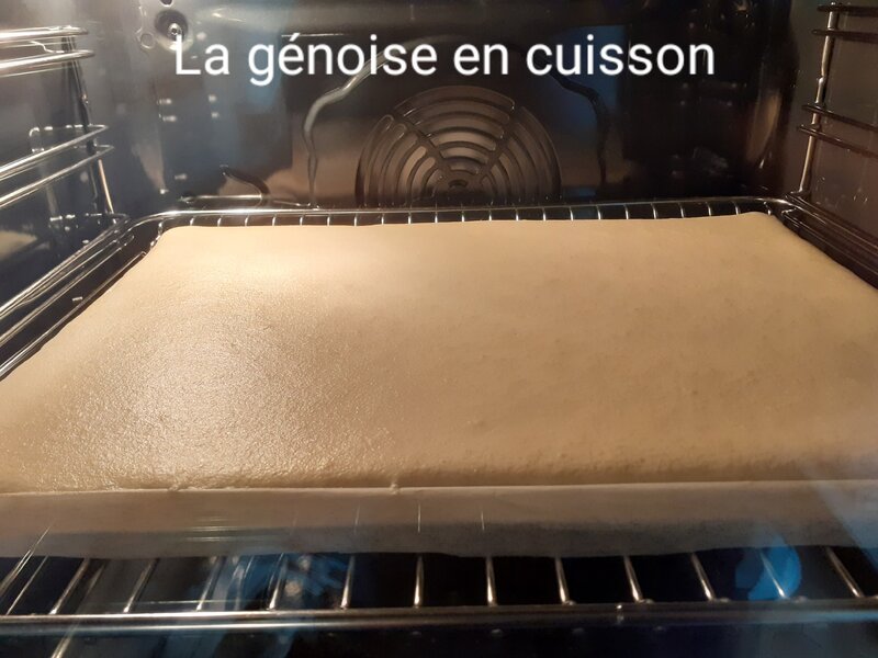 20220216_152158.jpg