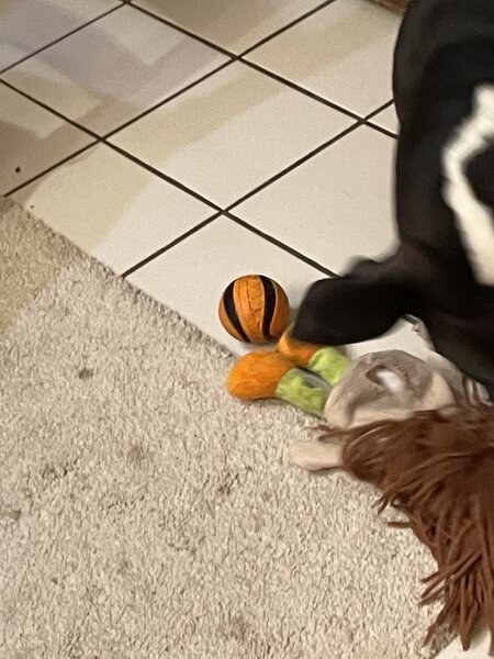 934B659D-1353-4D2C-BABB-456BC531642B.jpeg