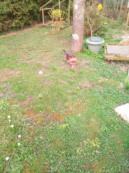 noeline photo jardin 006.jpg