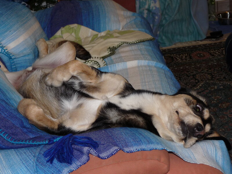 P1020130.JPG