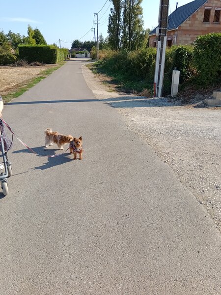 promenade Noeline 002.jpg