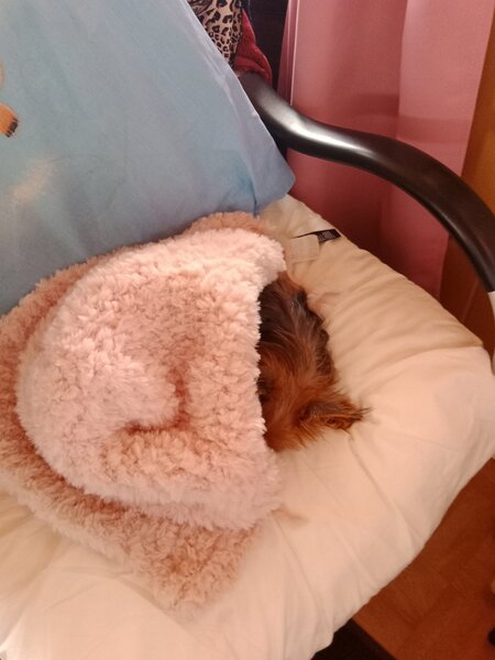 vacances nanou 002.jpg