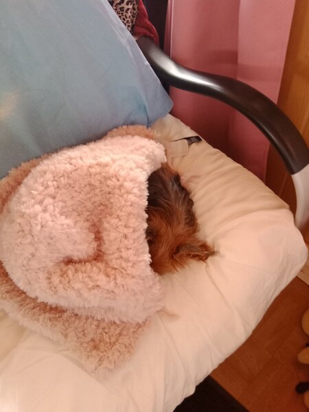 vacances nanou 001.jpg