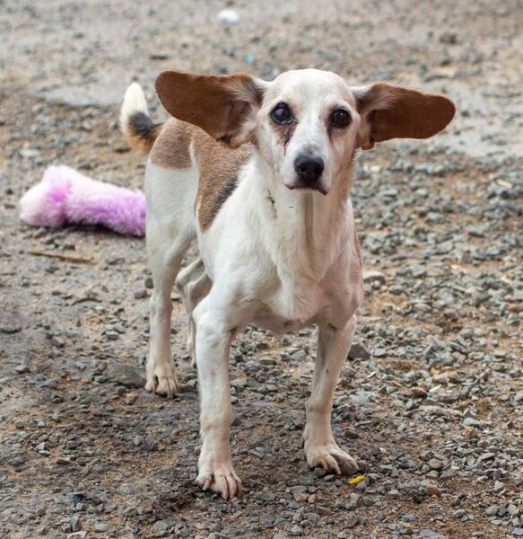 305252869_1019736505389045_1863973663000139662_n (3).jpg