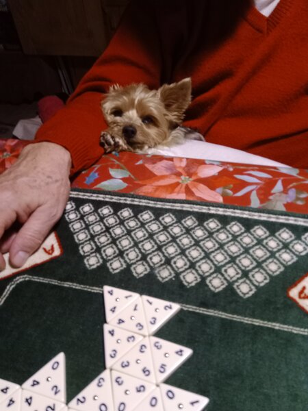 lola papa 001.jpg