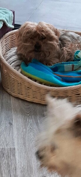 20230322_070857.jpg