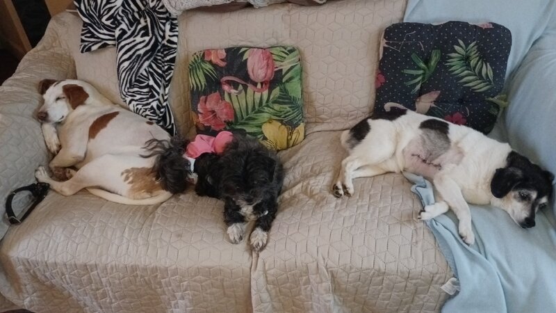 IMG-20230402-WA0000.jpeg