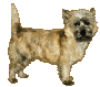 5.gif.7457b9a1e03f04a4b227ac14e201920d.gif
