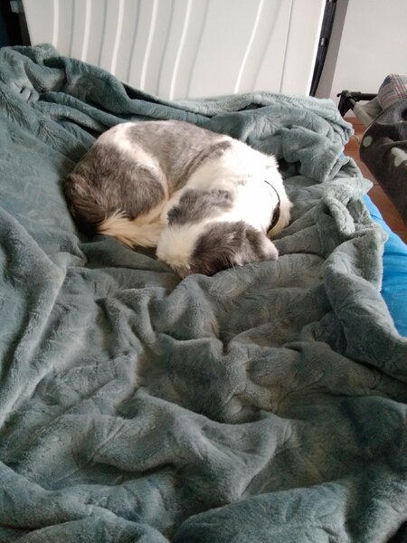 20230920_122621.jpg