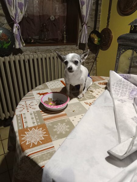 petit dej 009.jpg