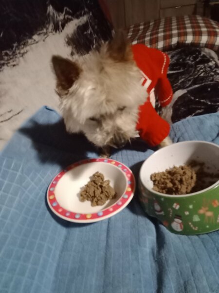 petit dejeuner Poupée 010.jpg