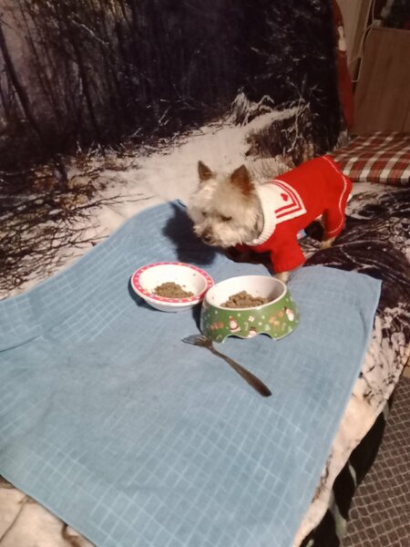 petit dejeuner Poupée 014.jpg