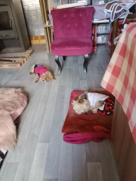 Doma et Poupée 001.jpg