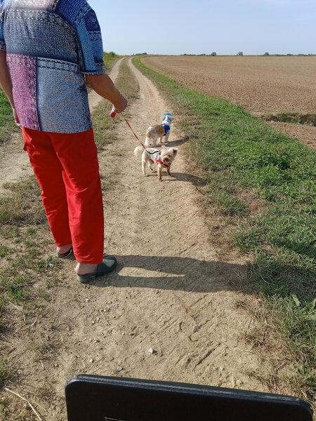 ballade lha-Mo et Filou 001.jpg