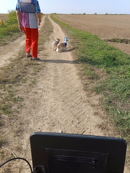 ballade lha-Mo et Filou 002.jpg