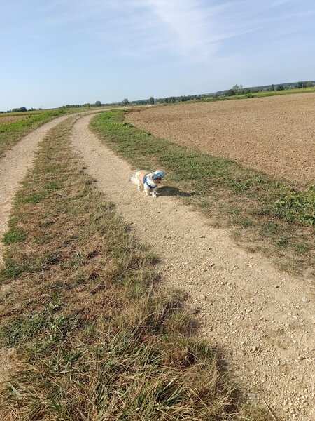 ballade lha-Mo et Filou 003.jpg