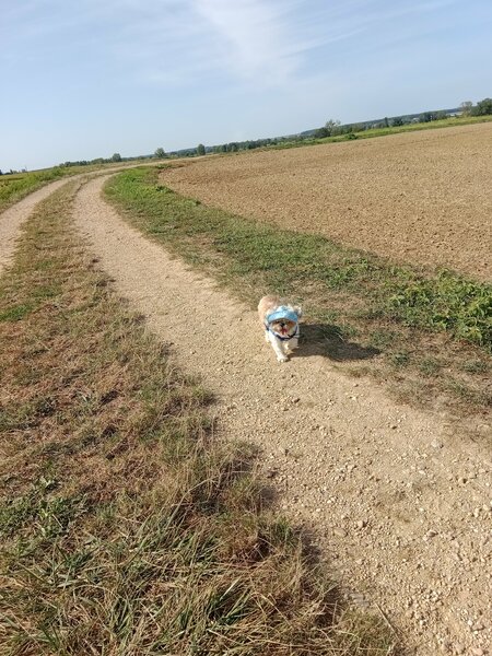 ballade lha-Mo et Filou 004.jpg