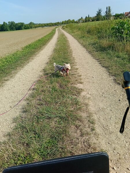 ballade lha-Mo et Filou 005.jpg