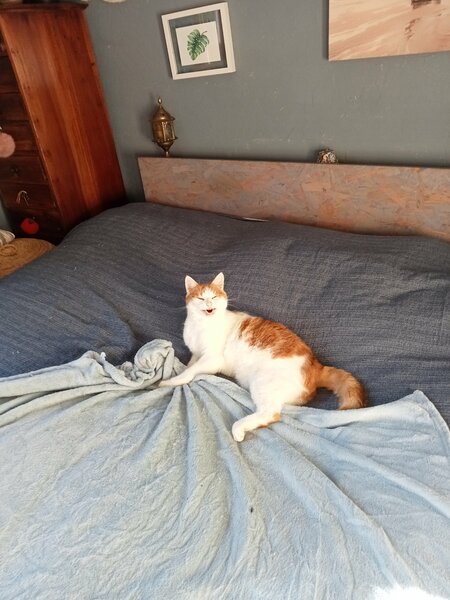 IMG20241120135829.jpg