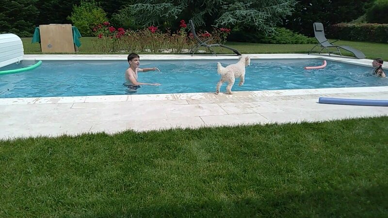 kim saute piscine juillet 24.jpg