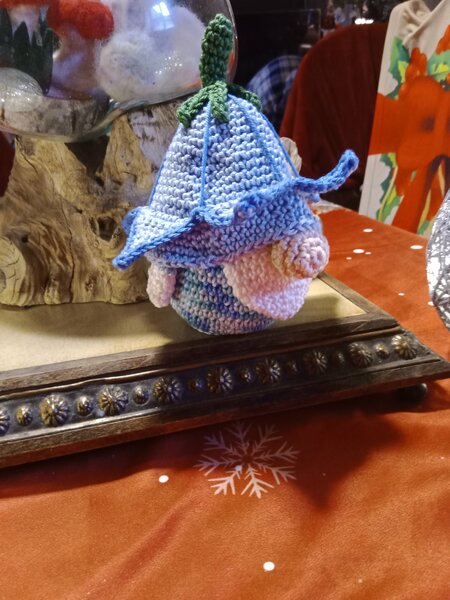 GNOME CAMPANULE 002.jpg