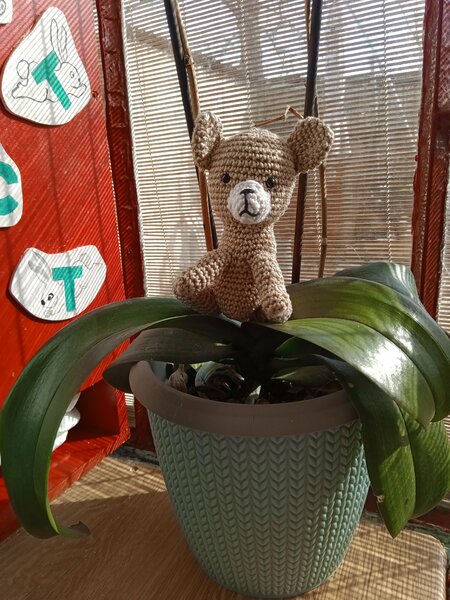 oeufs 2 lapin chien 001.jpg