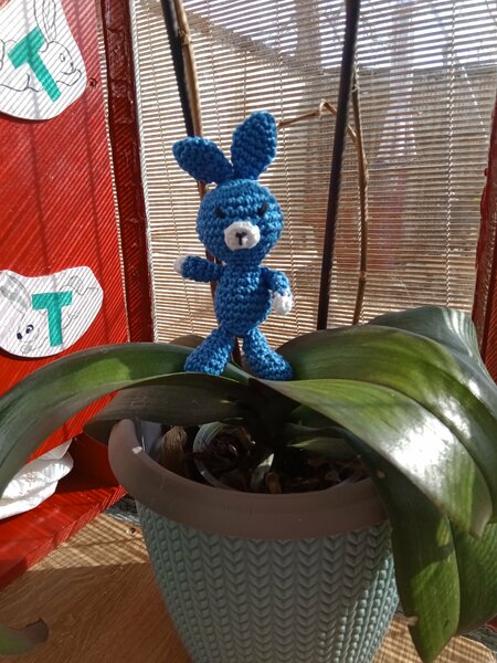 oeufs 2 lapin chien 002.jpg