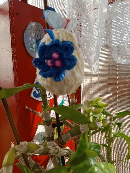 oeufs 2 lapin chien 003.jpg