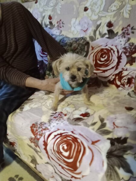 Sybelle pâques 2025 001.jpg