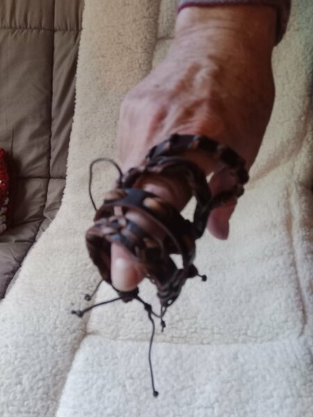 tombola noel 2025 cani seniors 011.jpg