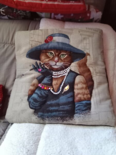 tombola noel 2025 cani seniors 012.jpg