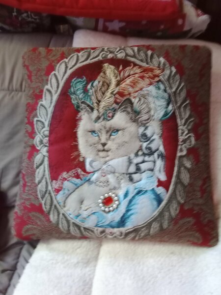 tombola noel 2025 cani seniors 013.jpg