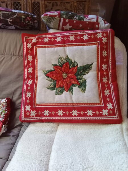 tombola noel 2025 cani seniors 014.jpg