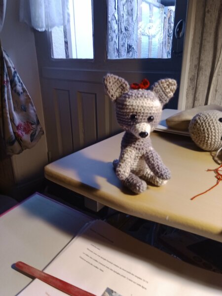 le chihuahua 002.jpg