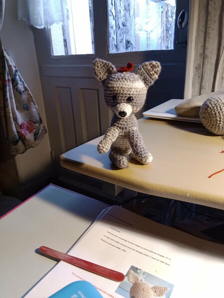 le chihuahua 003.jpg